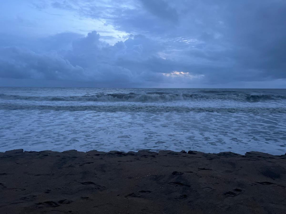 Cherai Beach Retreat エクステリア 写真
